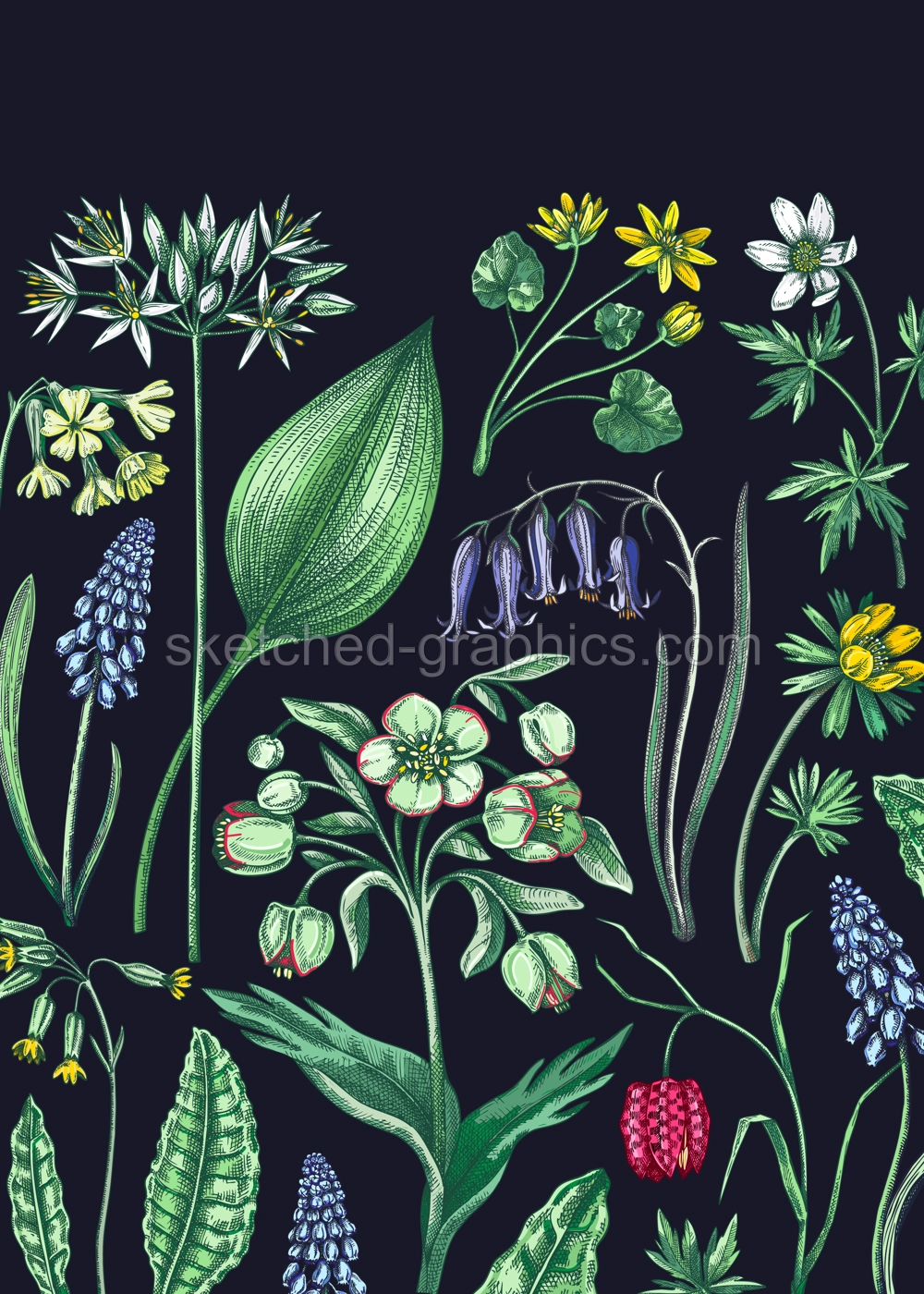 Delicate spring background. Wildflowers. Woodland wild flower sketches. Floral card, wedding invitation design template. Hand drawn vector illustration, NOT AI generated Illustration